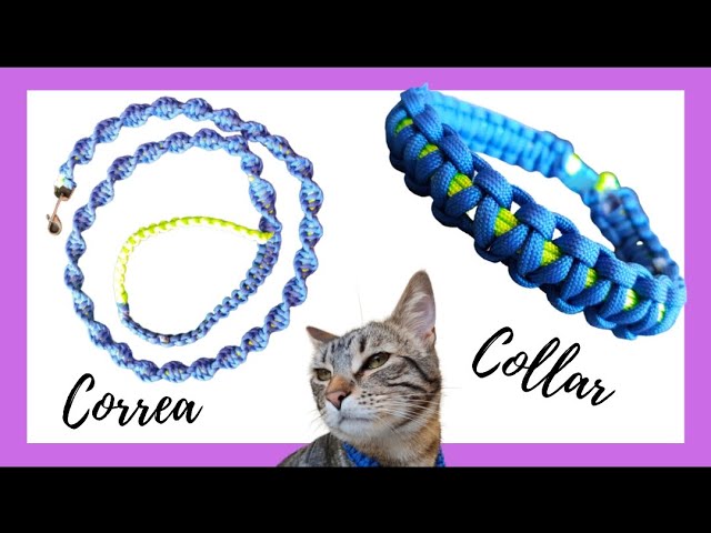 😺 Cómo HACER un ARNÉS para GATO ❤️, DIY