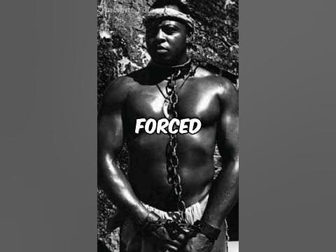 🤯Breeding Slave with over 200 children?😨 #weirdfacts