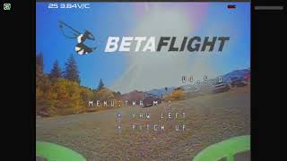 TinyWhoop Flight