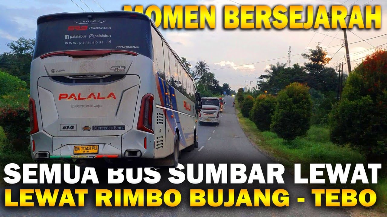 Momen Bersejarah Akhirnya Semua Bus Sumbar Lewat Rimbo Bujang Tebo Efek Jalan Lintas Sumatera Putus