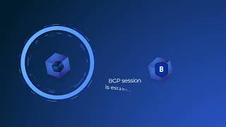 Baffin Bay Networks - Protect your infrastructure using BGP and Routed DSR