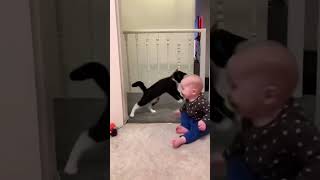 Cute baby, indahnya persahabatan bayi dan kucing