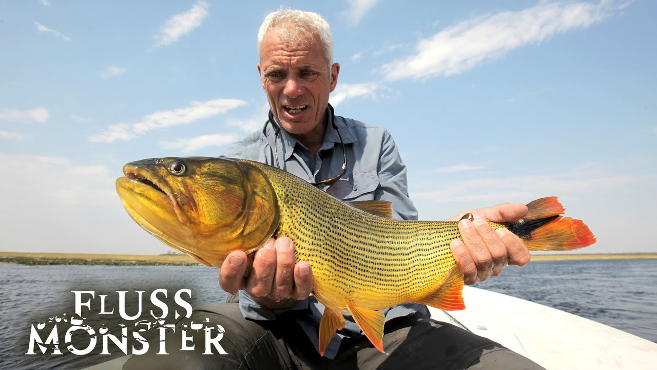 Der tödliche Dourado: Auge in Auge mit einem großartigen Wasserkämpfer | S6 E05 | Fluss Monster