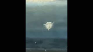 Buckethead - Dance of the Sea Monkeys