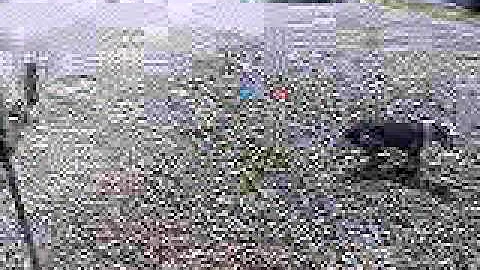DSCF2709