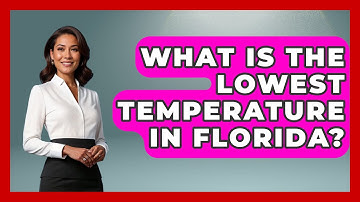 What Is The Lowest Temperature In Florida? - Weather Watchdog