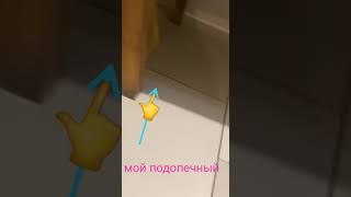 МОЙ ПОДОПЕЧНЫЙ.     МЫШОНОК ПО ИМЕНИ-ДЖИНГАЛС.