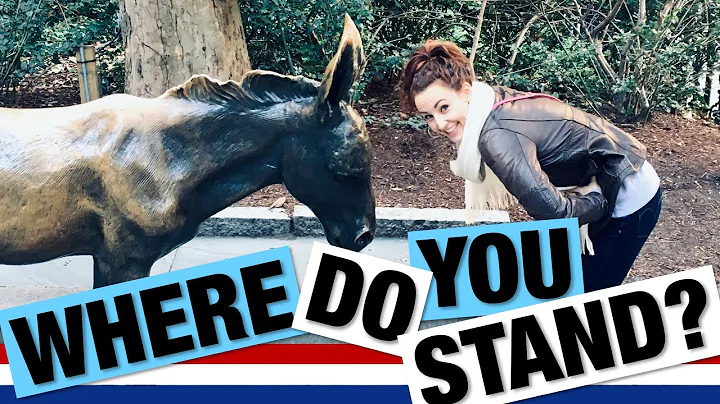 DEMOCRAT vs. REPUBLICAN - Explained | What's the difference between republicans and democrats?