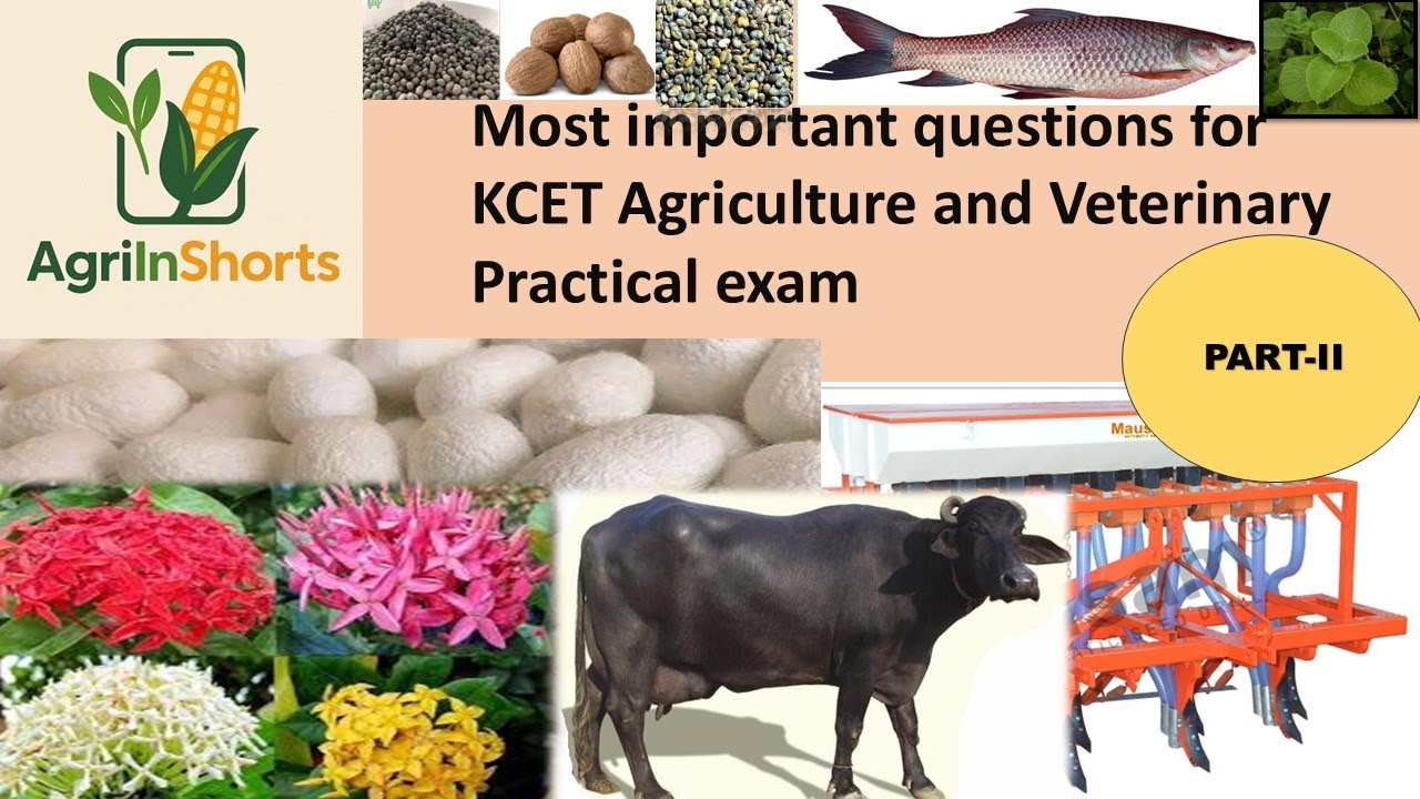 Most important questions for KCET Agriculture and Veterinary Practical ...