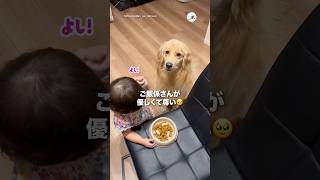 ご飯係さんが優しくて尊い🥹｜PECO
