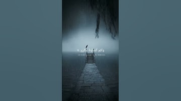 راحة لاتوصف 😴💙🌧 أرح سمعك 🎧 القارئ أحمد خضر