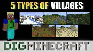 5 Types of Villages in Minecraft