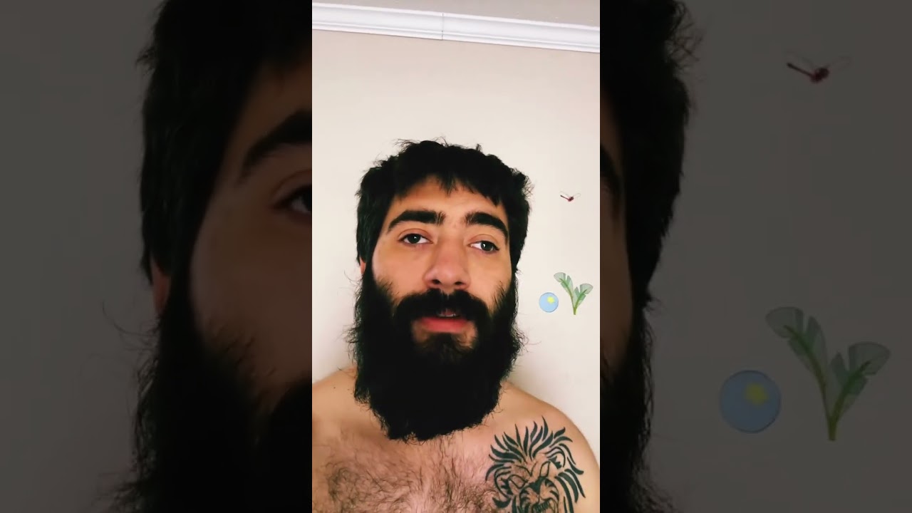 Elon your trucks are gonna turn my kids into orphans ☠️ 