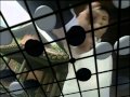 太極樂慢活 片頭篇 Wmv 太極樂慢活 片頭篇 Wmv