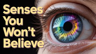 Unbelievable Human Senses You Never Knew Exist Factopia