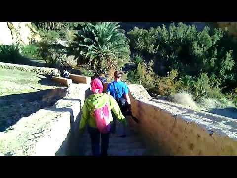 Тунис Оазис в пустыне сахара. ოაზისი საჰარას უდაბნოში. સહારા રણમાં ઓસિસ