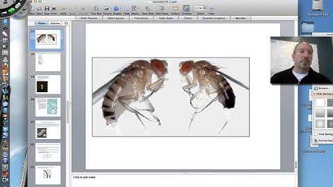 Chromosomal Inheritance