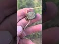 Приборный поиск в донской степи #metaldetecting #коп #history #travel #coin #900
