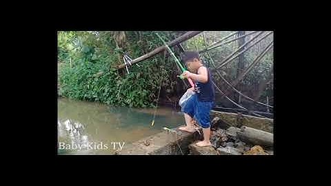 Trò chơi câu cá suối