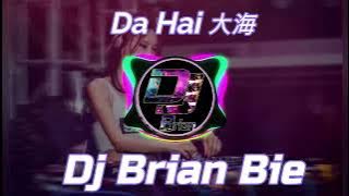 Da Hai 大海 Remix By Dj Brian Bie