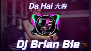 Da Hai 大海 Remix By Dj Brian Bie