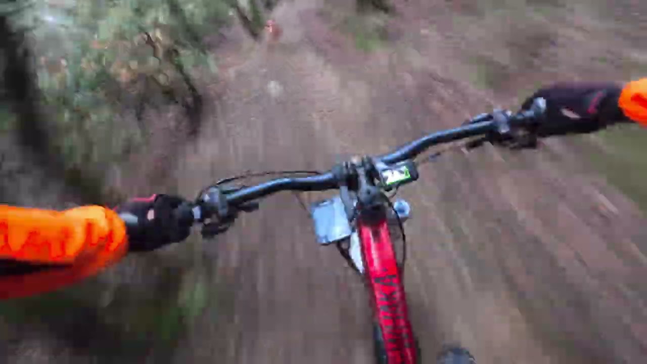 Trialeras con la mtb electrica y mi perro