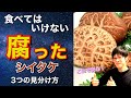 ▶︎注意◀︎ “食べてはいけないシイタケ” を簡単に見分ける3つの方法【原木しいたけ栽培】