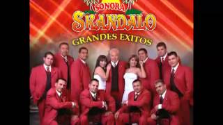 Video thumbnail of "Sonora Skandalo - Solo Quedate En Silencio"