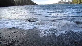 Brinna Plys On Terrace Beach.mov