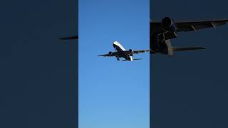 Plane Spotting at Cypress Point Park | Tampa, Florida