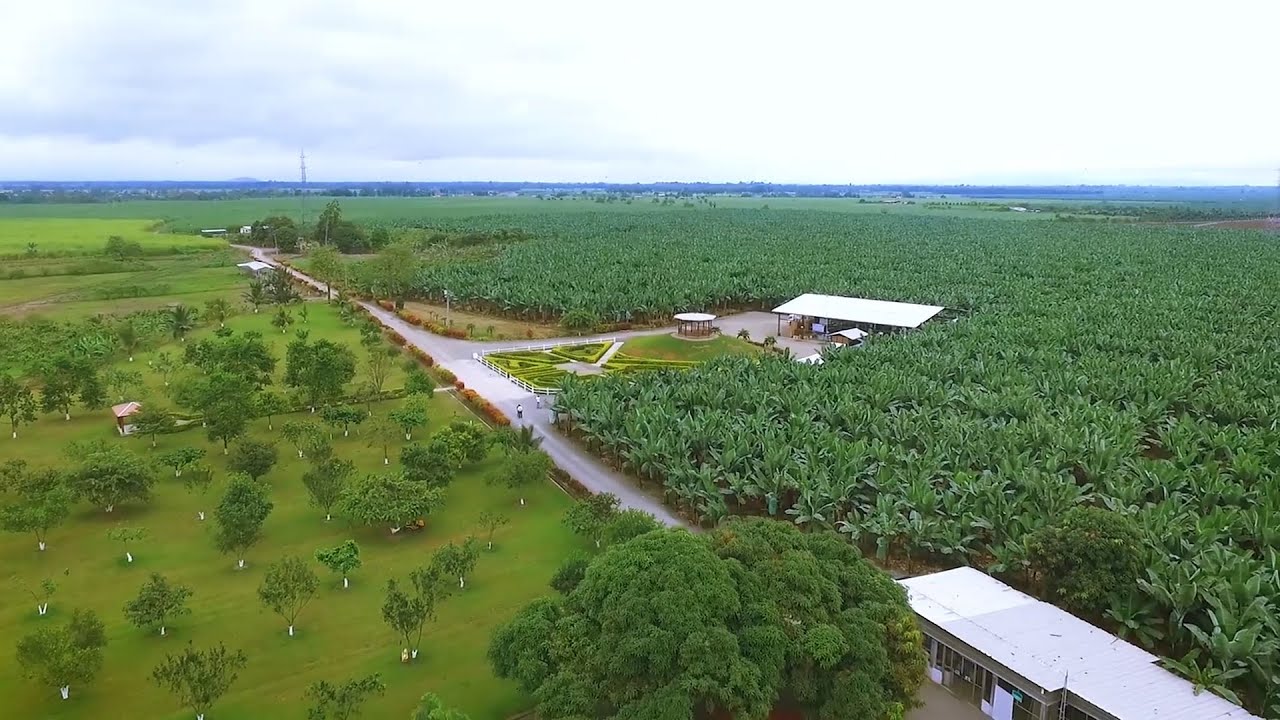 HACIENDA CORALITO - INSTITUCIONAL 2020