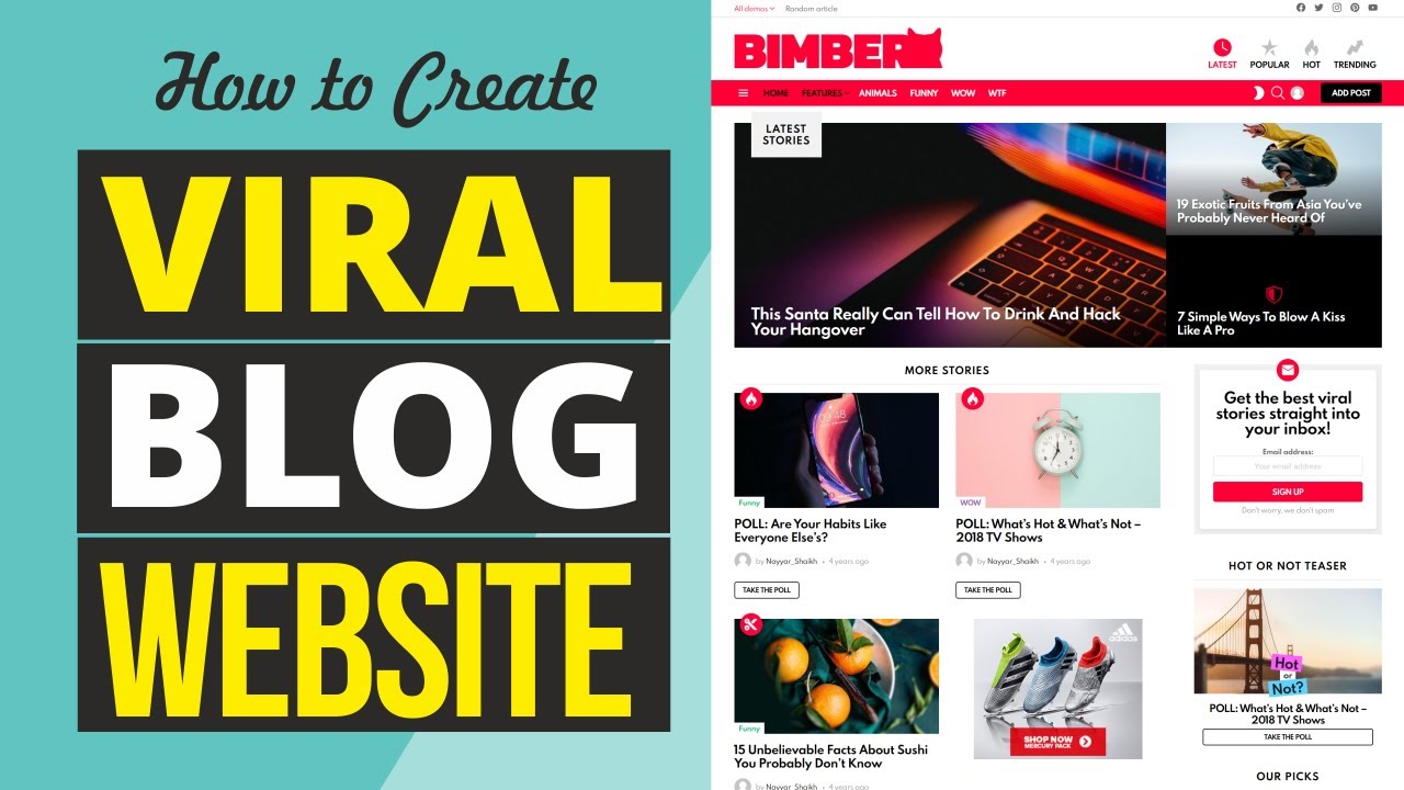 How to Create a VIRAL BLOG with WordPress & Bimber & Make Money Blogging in 2020