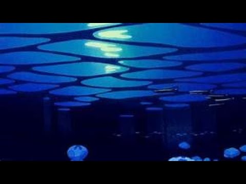 Madame Sfera Ebbasta - TU MI HAI CAPITO (slowed)