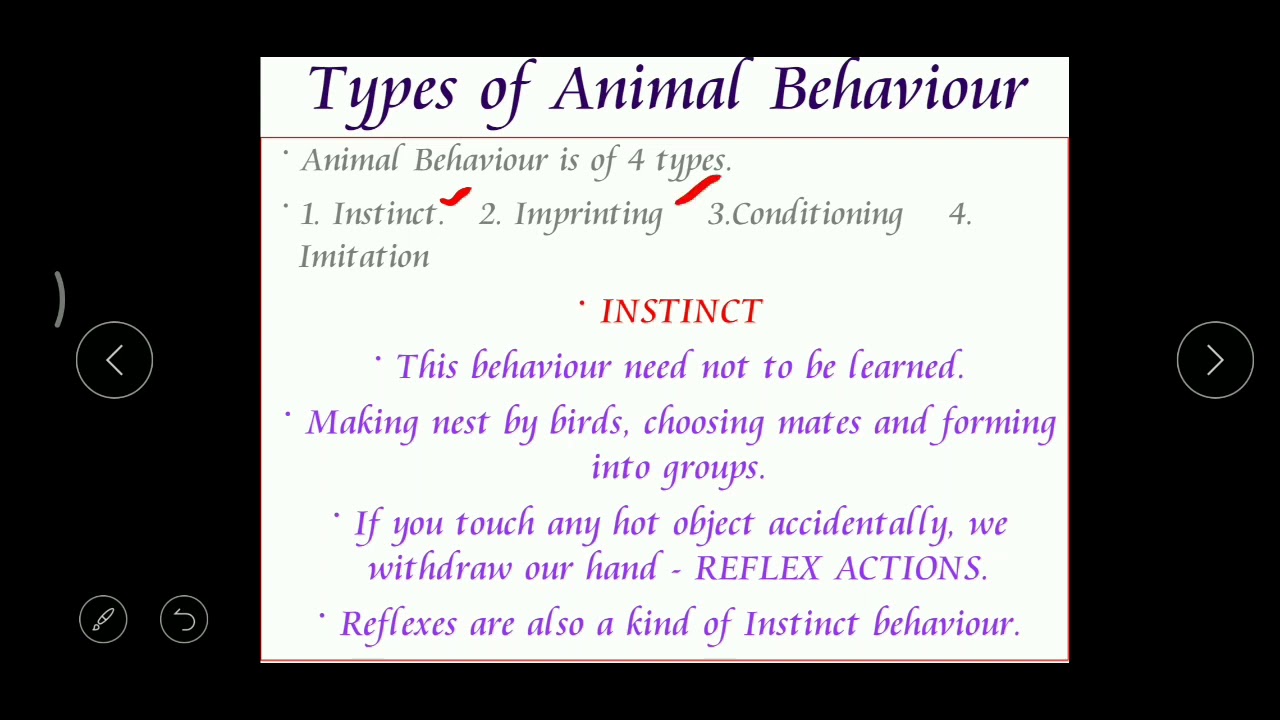 ANIMAL BEHAVIOUR, Session - I - YouTube