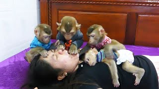 Ohhoo Funniest Monkey World | Donal And Mori Wonder Why Dodo Try To Check &amp; Pull Tongue Mom Out