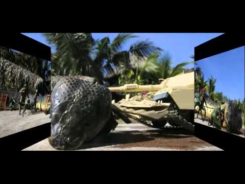 Видео: Голиат е най-голямата жаба в света