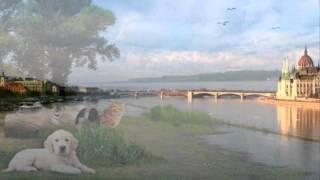 "Waves of the Danube"- André Rieu and His Johann Strauss Orchestra - chords