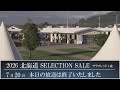 2026 北海道セレクションセール1日目生中継