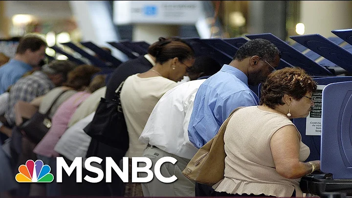 Voto Latino CEO On Getting More Latinx Voters Registered To Vote | MSNBC