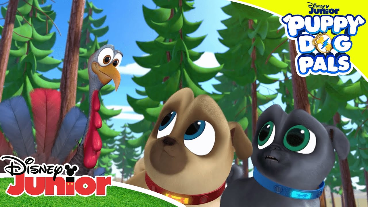 Turkey Trouble 🦃 | Puppy Dog Pals 🐶 | Disney Junior Arabia