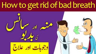 Muh ki Badboo Ka Ilaj | Bad Breath Treatment | Urdu/Hindi | Hakeem Malik Ahmad Farooq