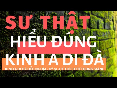 Video Kinh A Di Đà Liễu Nghĩa - phần 01 | HT Thích Từ Thông... - youtube