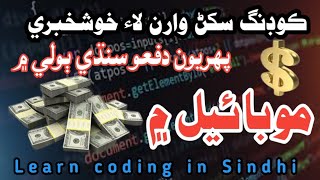 The Best App for Programming Languages in 2023 | Sindhi | screenshot 2