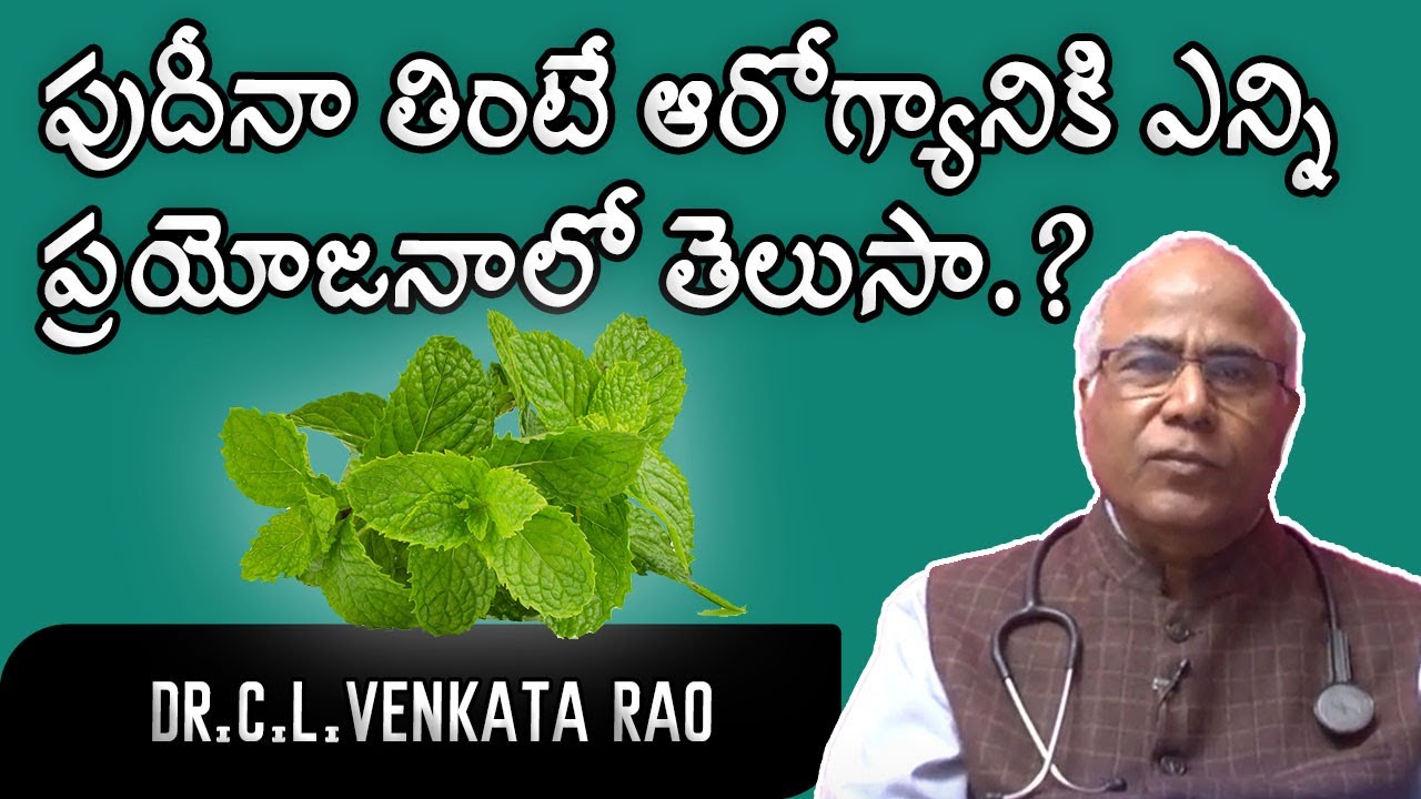 Mint Leaves Health Benefits Dr CL Venkata Rao Shri Tv Doctor