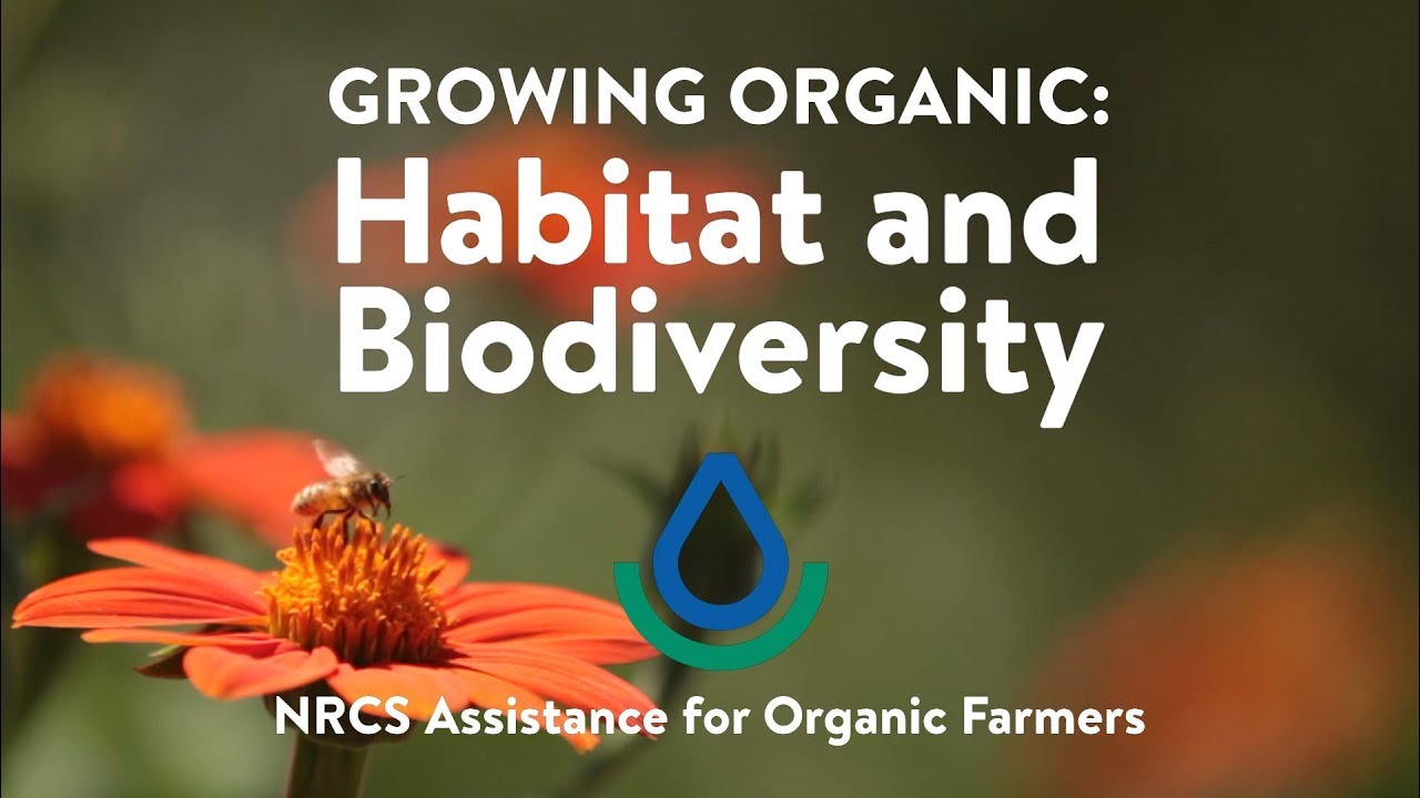 Habitat and Biodiversity