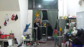 1020503龐德室內飛行練習2