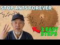 Make Your Yard ANT FREE FOREVER With 3 Easy Japanese Tricks