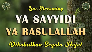 Download Lagu Ya Sayyidi Ya Rasulallah || Sholawat Tanpa Musik || Sholawat Merdu #21 MP3