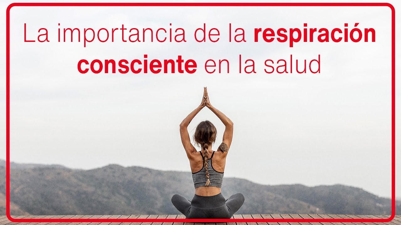 Libro 'Aire Que Trae Luz' - Sulla Respirazione Consapevole Come Fattore Di Salute E Spiritualità - Foto 6