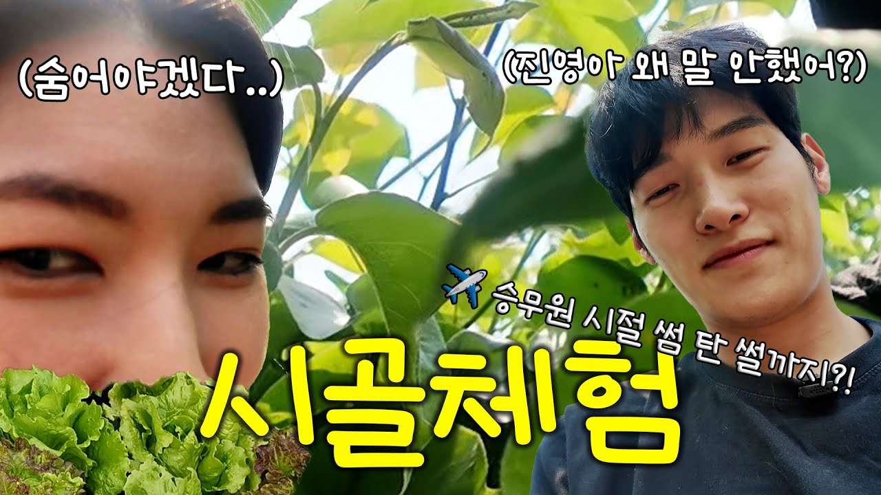 시골 힐링? 후 (TMI 폭발✈️ 진영이 썸 얘기까지 들은 날🤣)